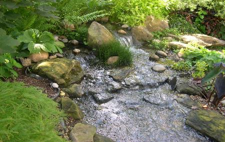 A babbling brook