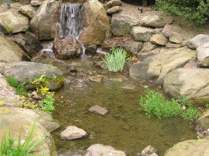 The main falls and top area of stream.