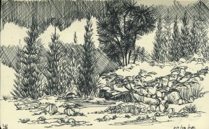 Moleskine doodle using Itoya pens