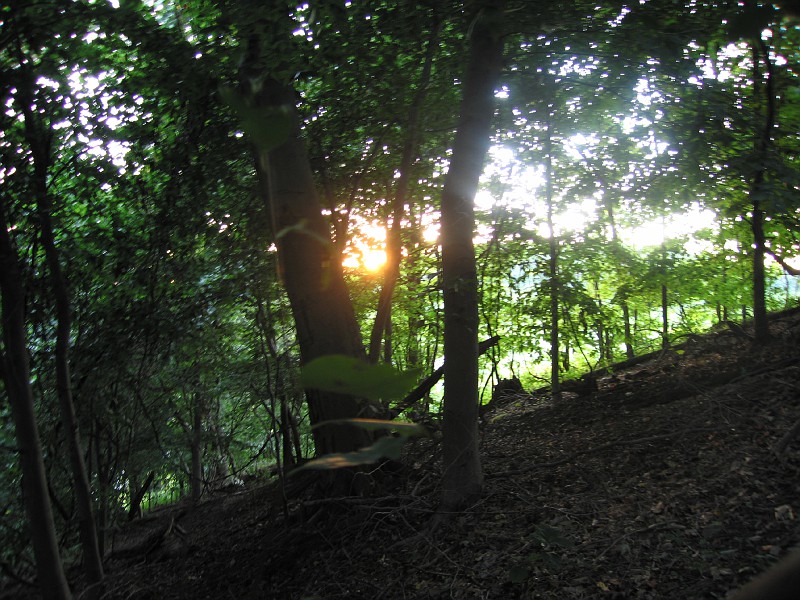 Two Tramps in Mud&nbsp;Time
