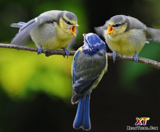 --- Get outta here ---