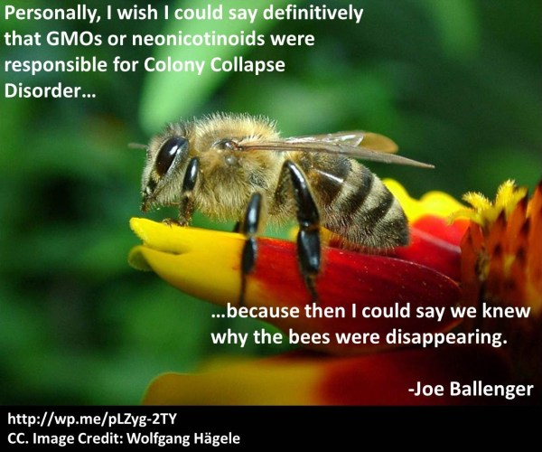 Biofortified-Bee-Pic1