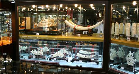 China Ivory (via NBCnews)