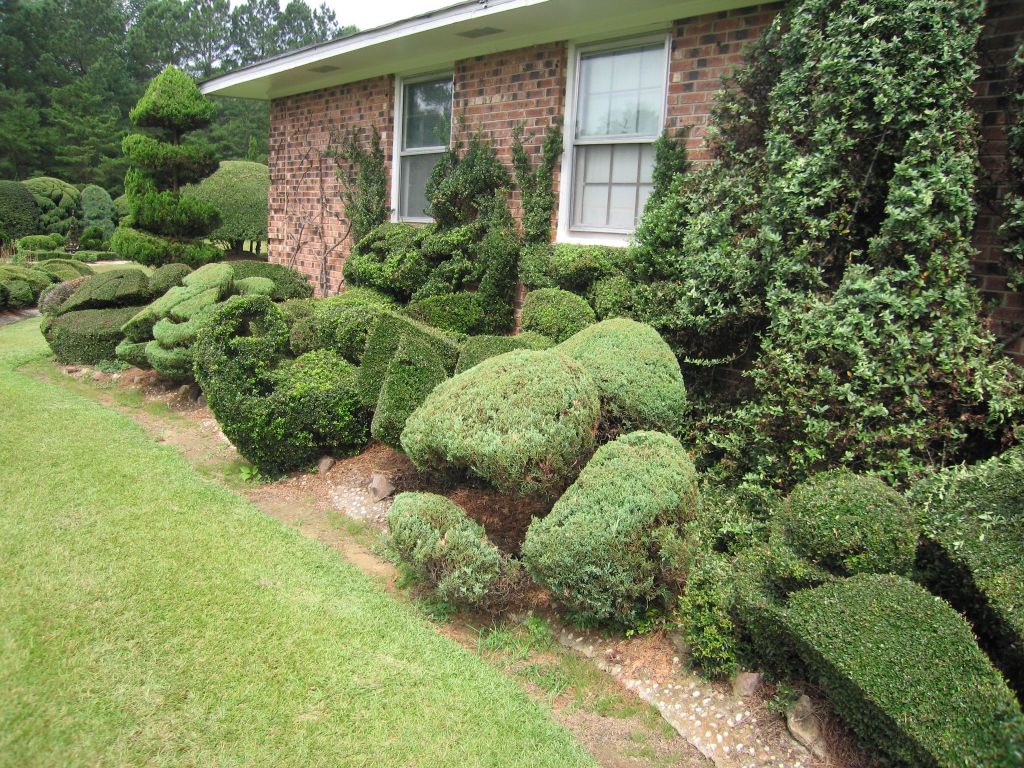 Donate to The Pearl Fryar&nbsp;Garden