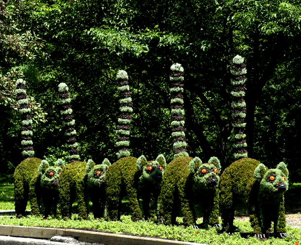 International Mosaiculture Montreal 2013 