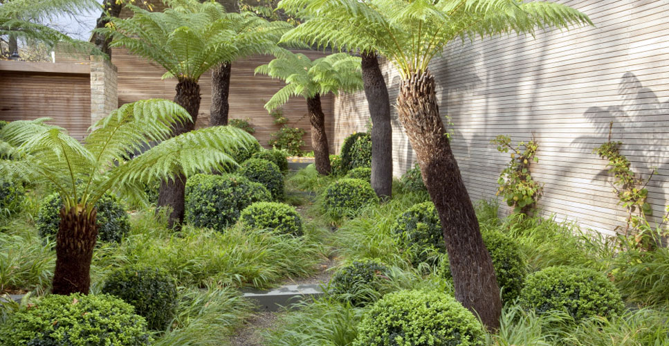 Tom Stuart-Smith Hits the Big&nbsp;Time