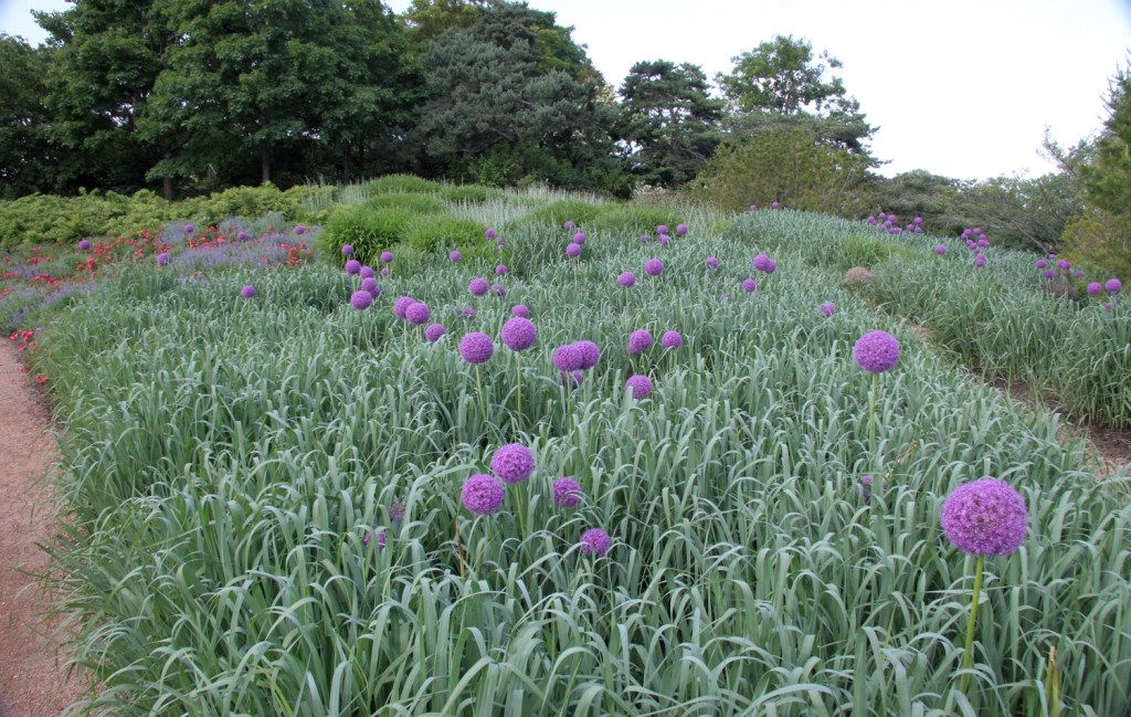 Spring Grasses and&nbsp;Bulbs