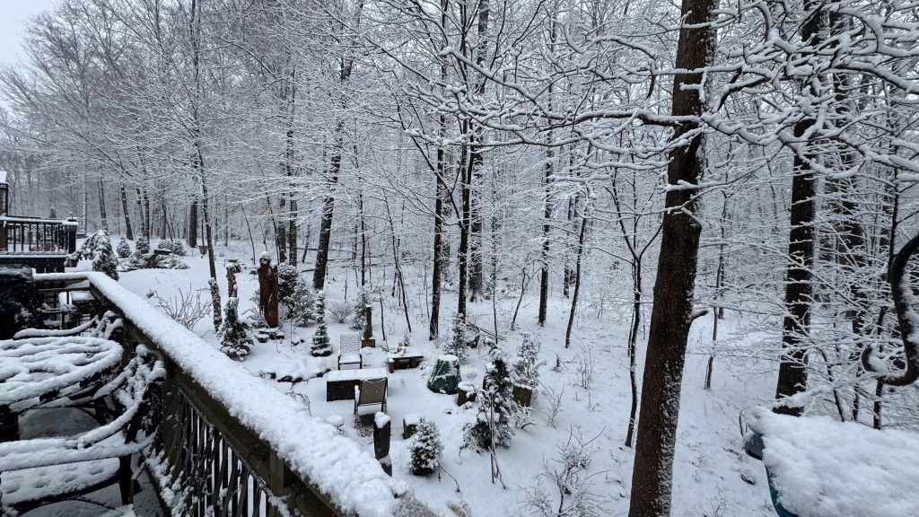 February 16th Cat-n-fiddle&nbsp;garden