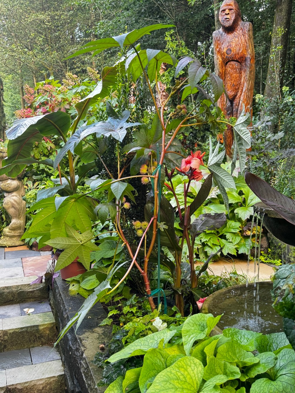 How Heavy Rain Affects Castor&nbsp;Beans